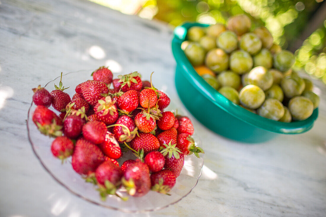 Frische Erdbeeren und Pflaumen auf einem spanischen Tisch