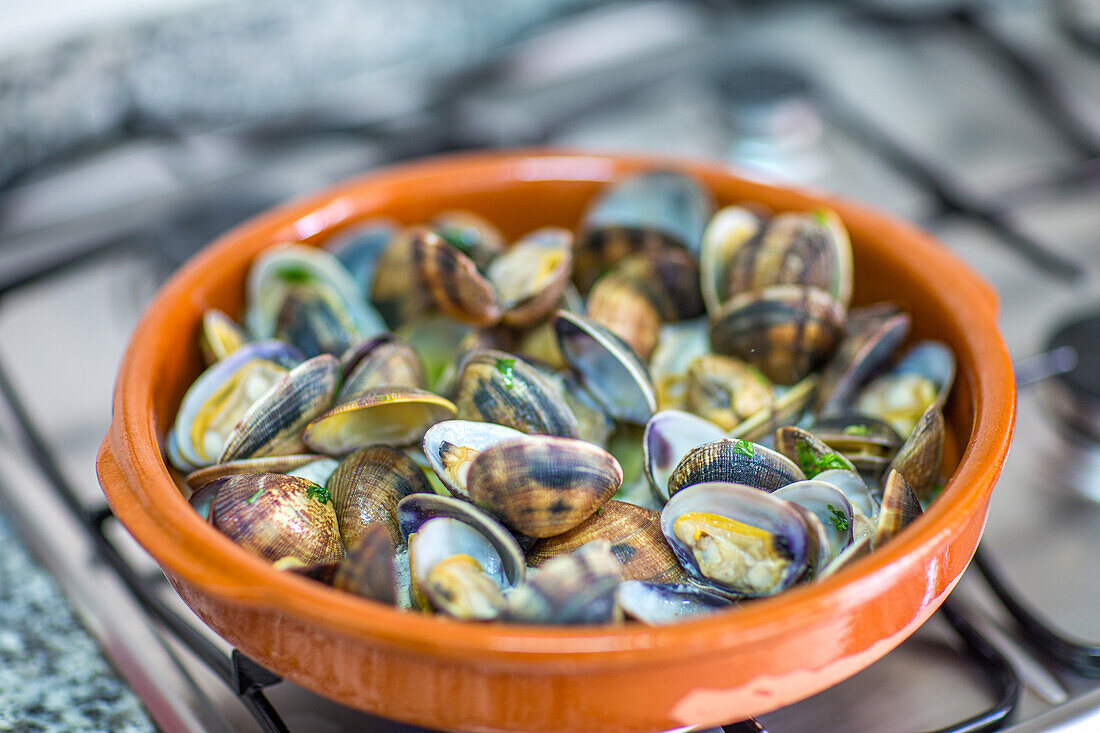 Portugiesische Muscheln in einer Terrakotta-Schale