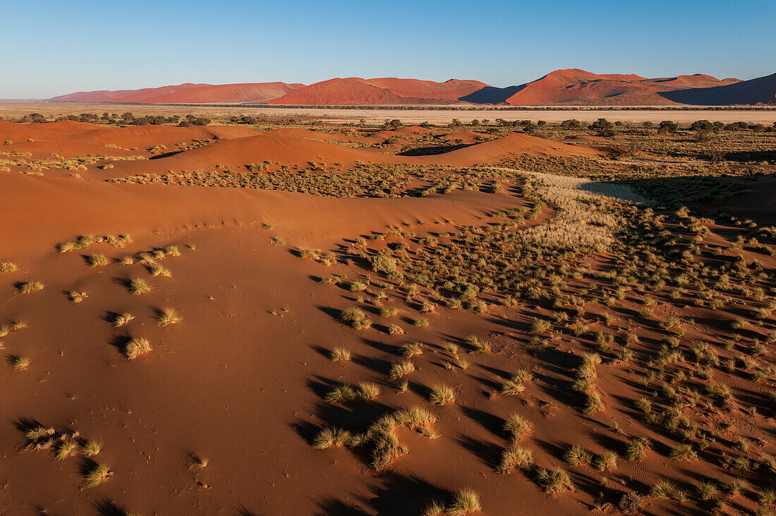 An aerial view of red sand dunes and vegetation in the Namib desert. Namib Naukluft Park, Namibia.