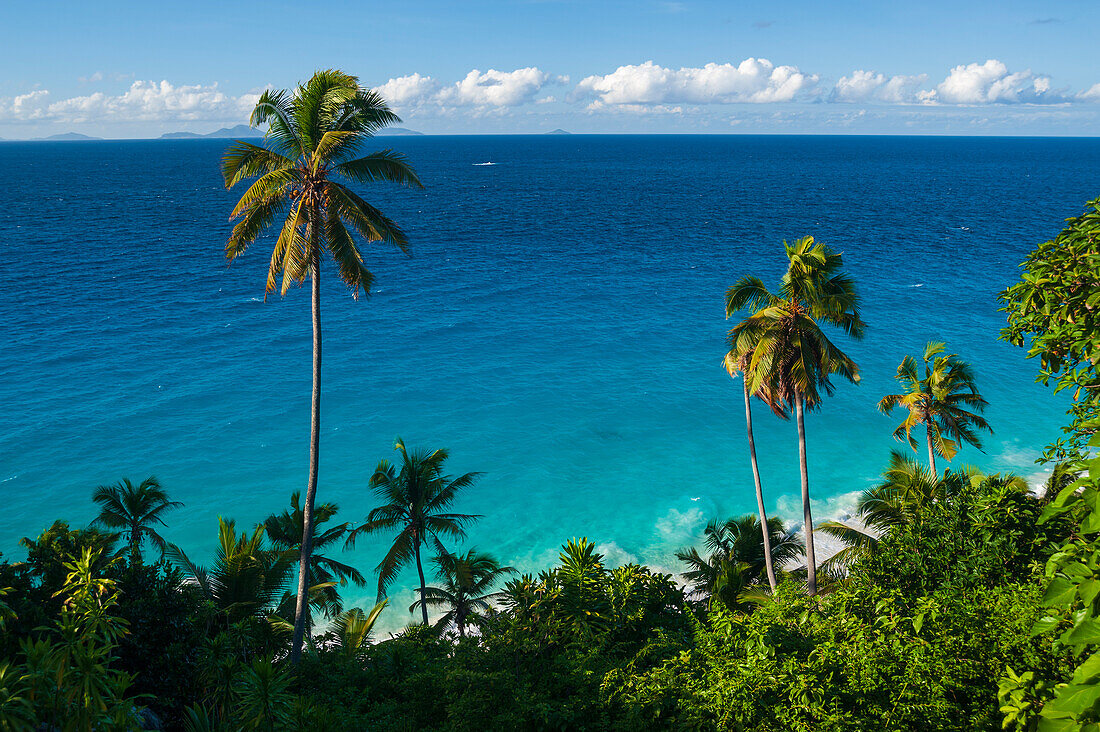 A high angle view of palm trees and tropical vegetation on a beach in the Indian Ocean. Fregate Island, Seychelles.