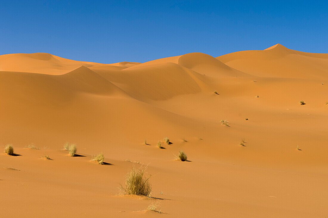 Sanddünen in der Wüste Sahara. Akakus, Fezzan, Libyen