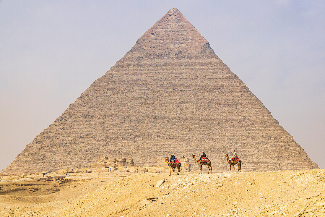 Giza, Cairo, Egypt. Men on camels at the Great Pyramid complex. (Editorial Use Only)