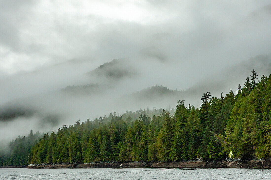 Kanada, Britisch-Kolumbien, Inside Passage. Morgennebel auf einem bewaldeten Berg.