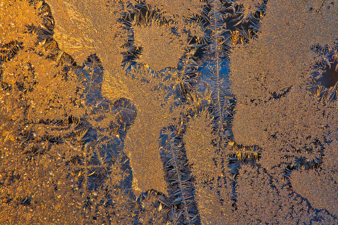 Canada, Manitoba, Winnipeg. Sunrise on window frost patterns in winter.