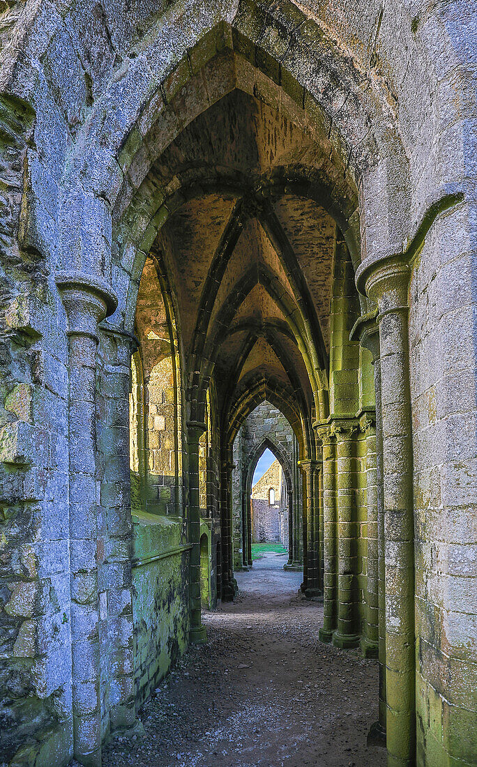 France, Brittany, Plougonvelin. Ruins of the Abbey of Saint Mathieu