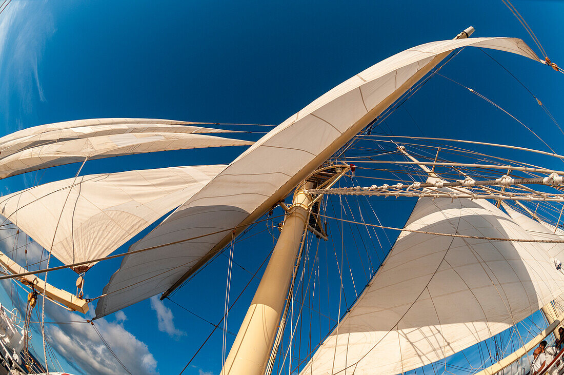 Blick auf den Mast und die Segel eines barquentinen Kreuzfahrtschiffs. Deshaies, Insel Basse Terre, Iles des Saintes, Guadeloupe, Westindien.