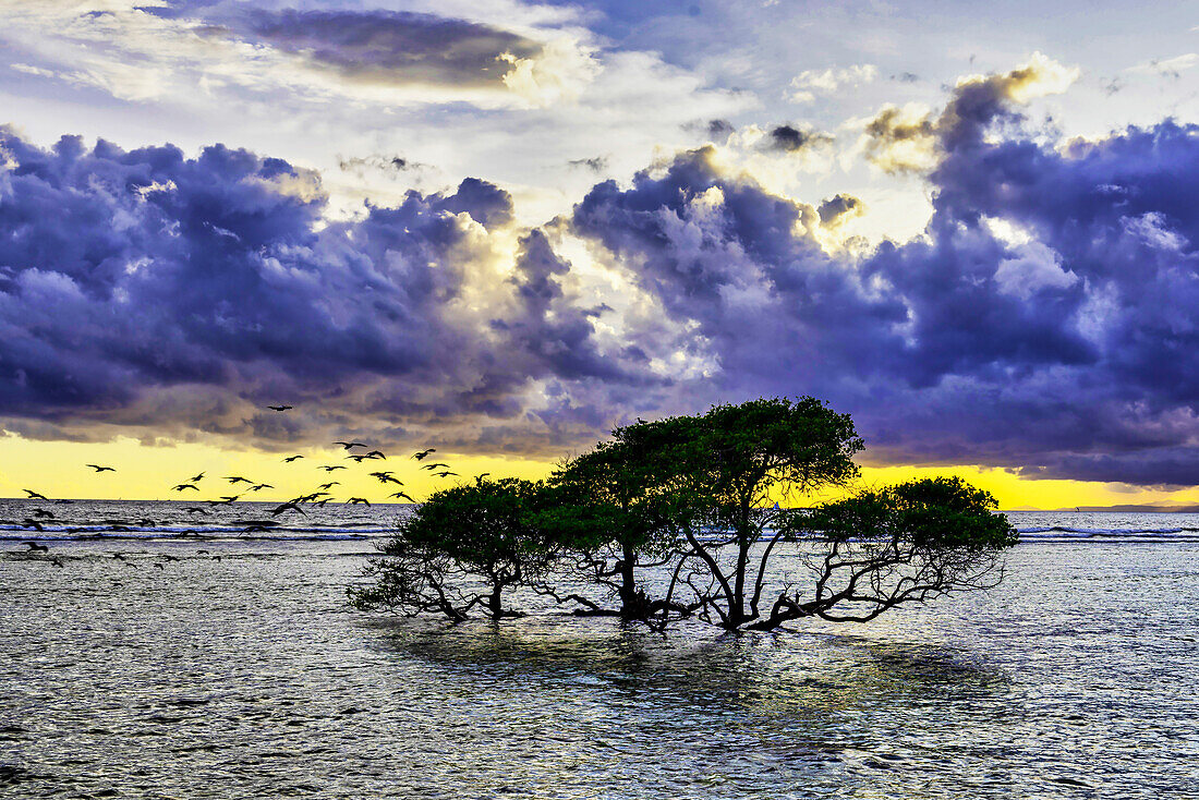 Die Insel Gili Trawangan vor der Küste von Lombok, Indonesien. Weißer Sand, klares, warmes Wasser und eine entspannte, tropische Atmosphäre.