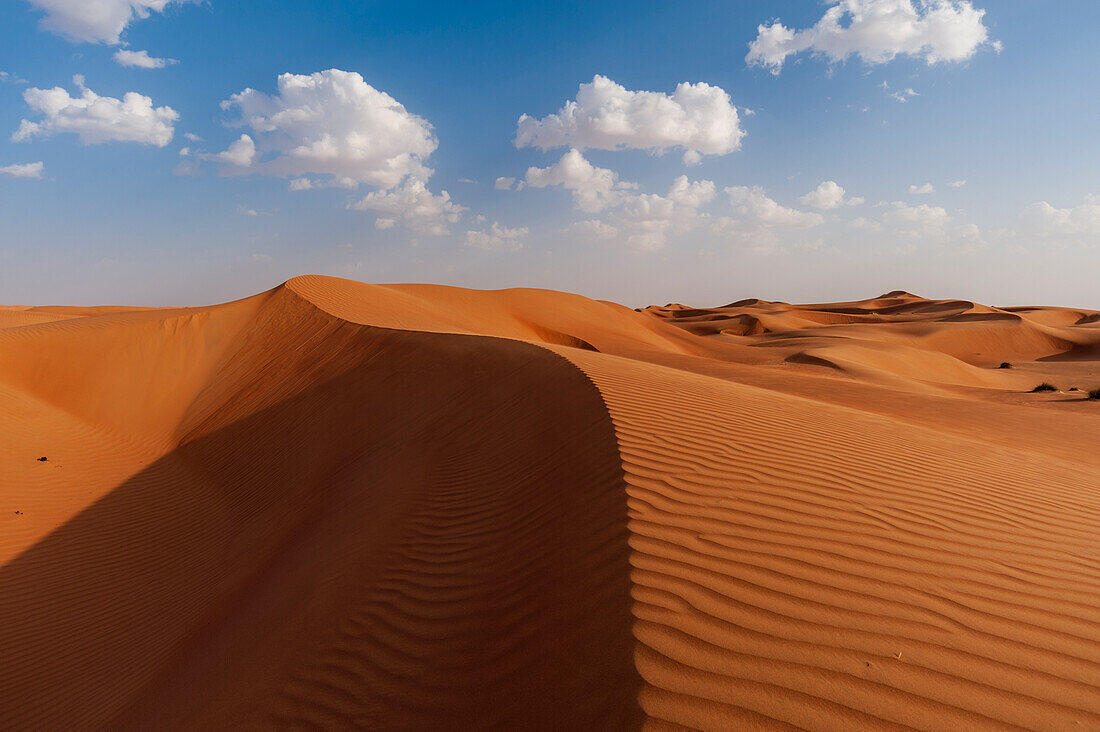 A desert landscape of wind sculpted and rippled sand dunes. Wahiba Sands, Oman.