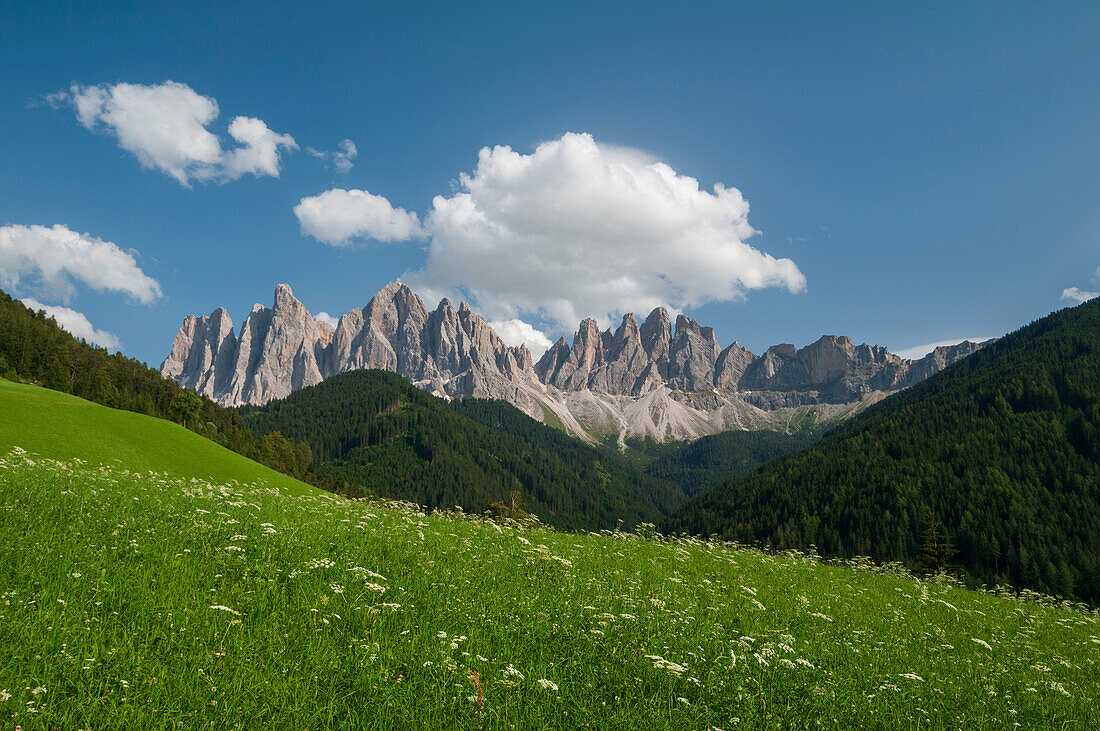 Blick auf die Geislergruppe vom Funes-Tal aus. Funes, Trentino Südtirol, Italien.