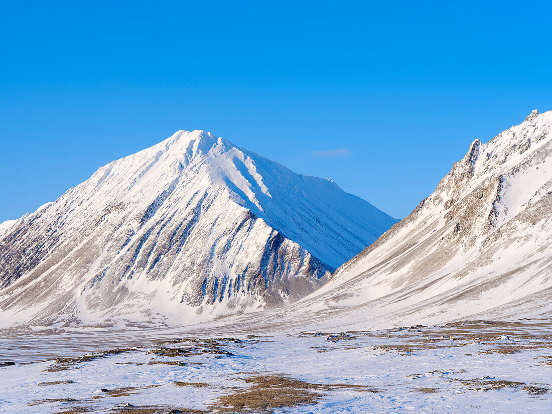 Coastal plain of Nordenskiold Coast. Landscape in Van Mijenfjorden National Park, (former Nordenskiold National Park), Island of Spitsbergen. Arctic region, Scandinavia, Norway, Svalbard