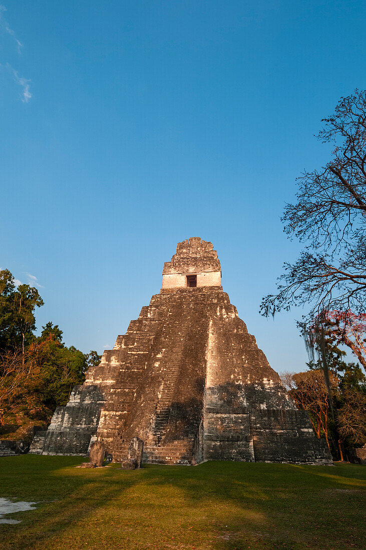 A view of Temple I, also known as the Temple of the Giant Jaguar. Tikal National Park, El Peten, Guatemala.