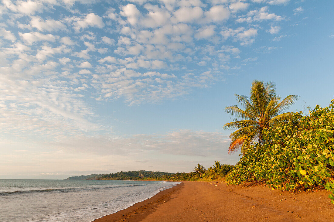 Sanfte Brandung am Sandstrand von Drake Bay, Osa Peninsula, Costa Rica.