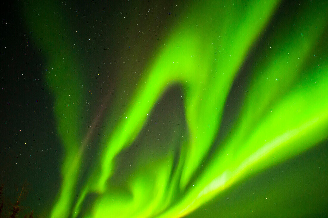 USA, Alaska, Chena Hot Springs Resort. Aurora Borealis füllt den Nachthimmel.