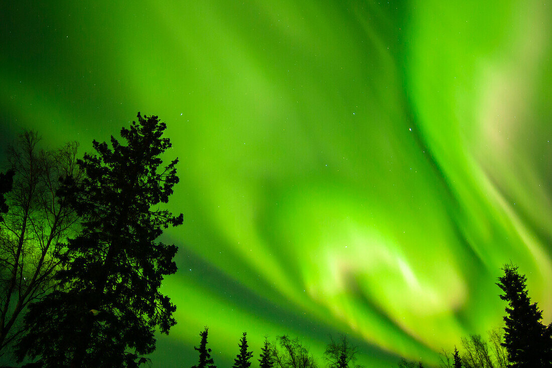 USA, Alaska, Chena Hot Springs Resort. Aurora Borealis füllt den Nachthimmel.