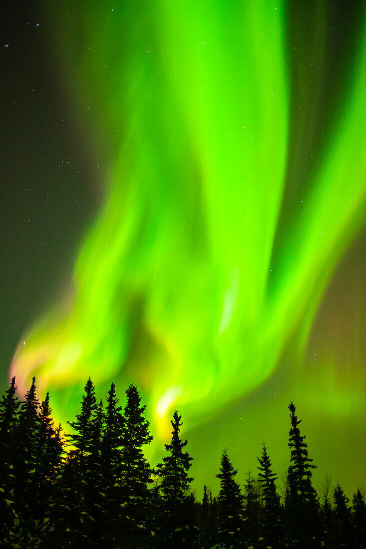 USA, Alaska, Chena Hot Springs Resort. Aurora Borealis füllt den Nachthimmel.