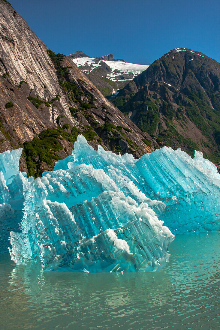 USA, Alaska, Tongass National Forest. Eisberge in der Bucht von Endicott Arm.