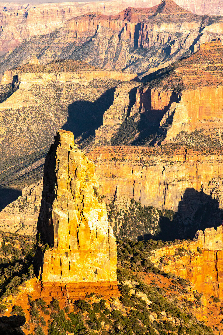 USA, Arizona, Grand Canyon National Park. Landscape from North Rim of Point Imperial.