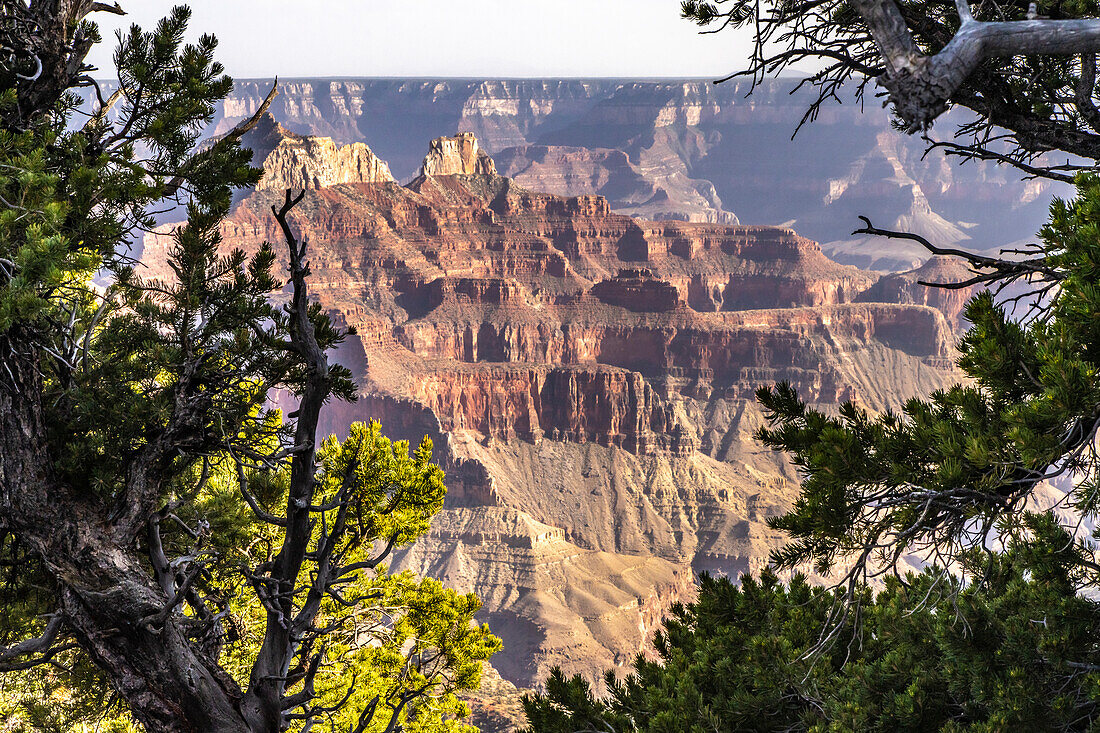 USA, Arizona, Grand-Canyon-Nationalpark. Landschaft vom North Rim des Bright Angel Point.