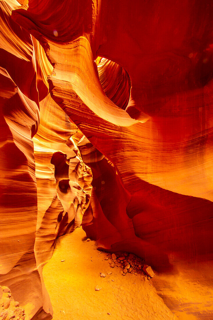 USA, Arizona, Lake Powell Navajo Tribal Park. Slot canyon in Lower Antelope Canyon.