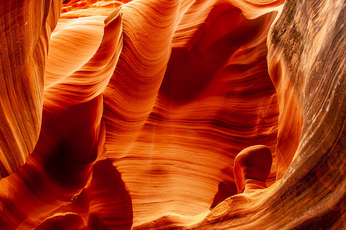 USA, Arizona, Lake Powell Navajo Stammespark. Schlitzschlucht-Felsenmuster im Rattlesnake Canyon.