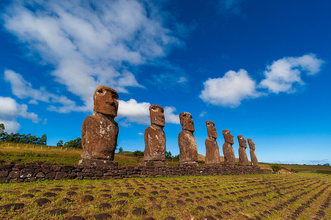 Moai-Statuen von Ahu Akivi. Rapa Nui, Osterinsel, Chile