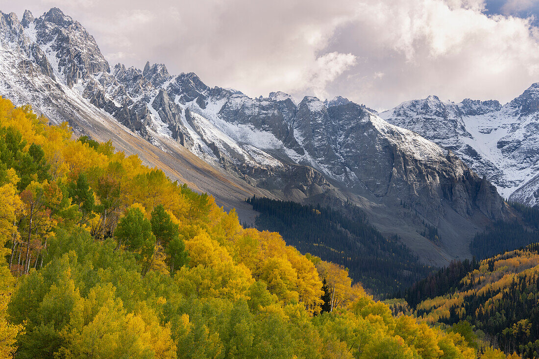 USA, Colorado, Uncompahgre National Forest. San Juan Mountains und Espenwald im Herbst.