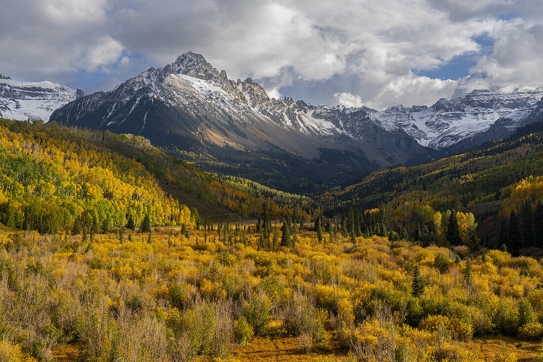 USA, Colorado, Uncompahgre National Forest. San Juan Mountains and aspen forest in autumn.