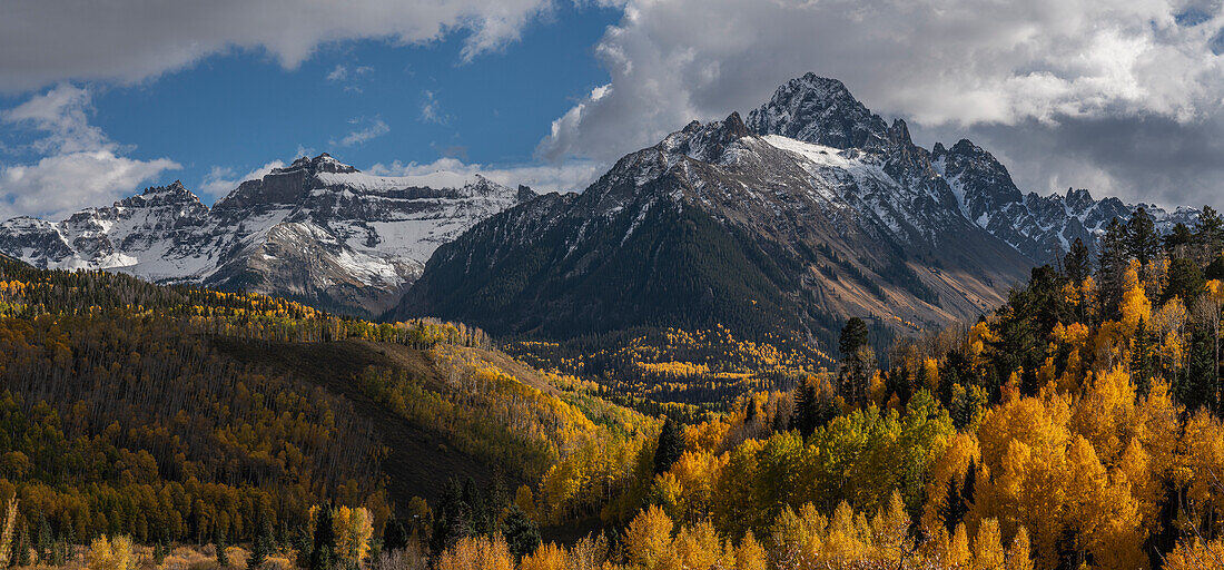 USA, Colorado, Uncompahgre National Forest. Mt Sneffels and aspen forest in autumn.