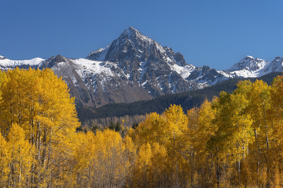 USA, Colorado, Uncompahgre National Forest. Aspens and mountains in autumn.