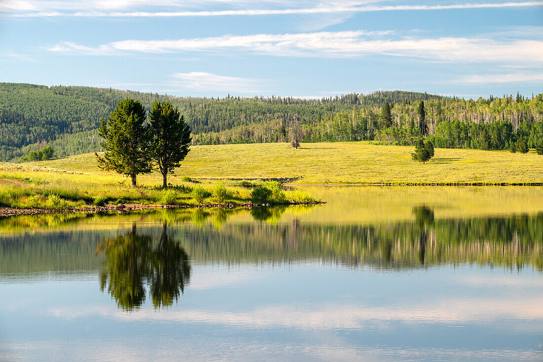 USA, Colorado. Calm reflection on Steamboat Lake.