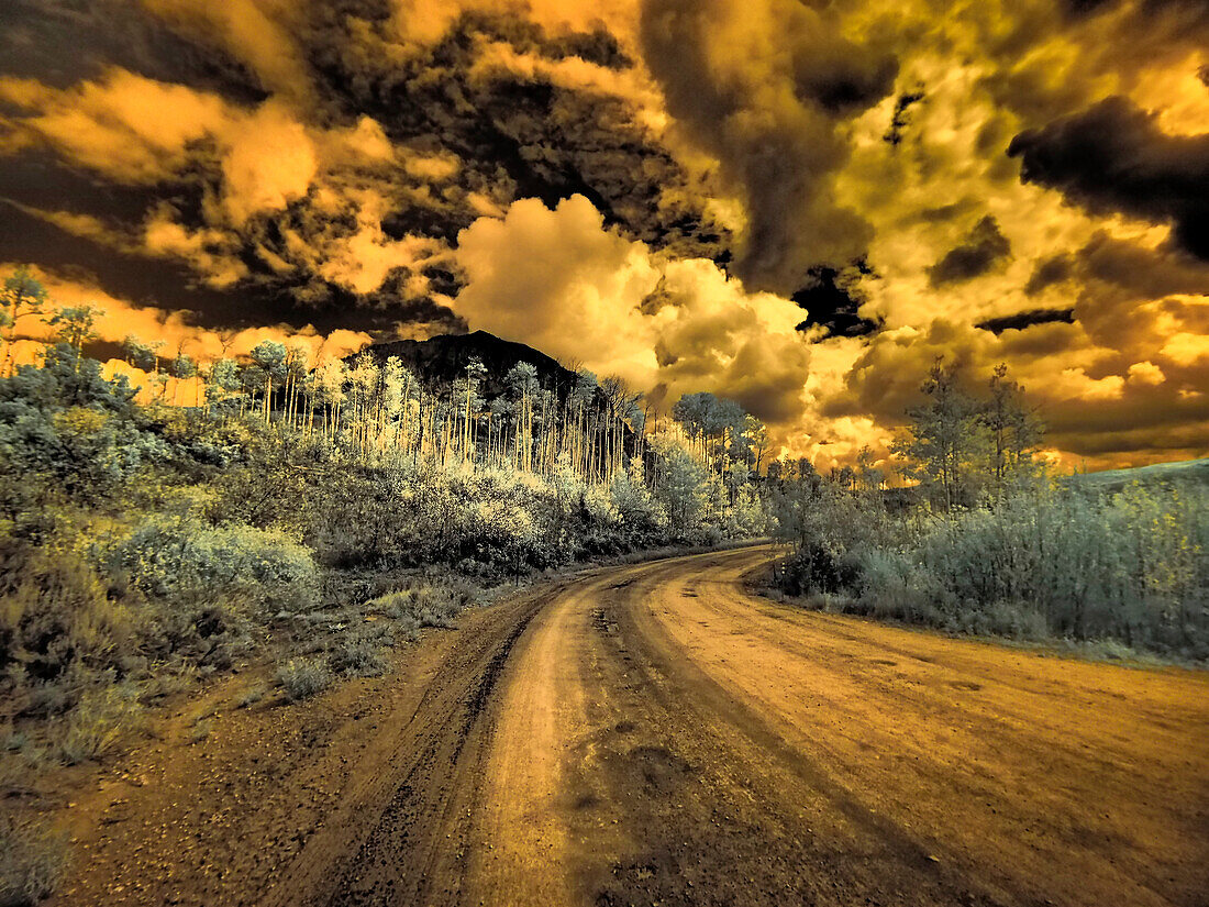 USA, Colorado. Infrarot der Straße durch den Kebler Pass