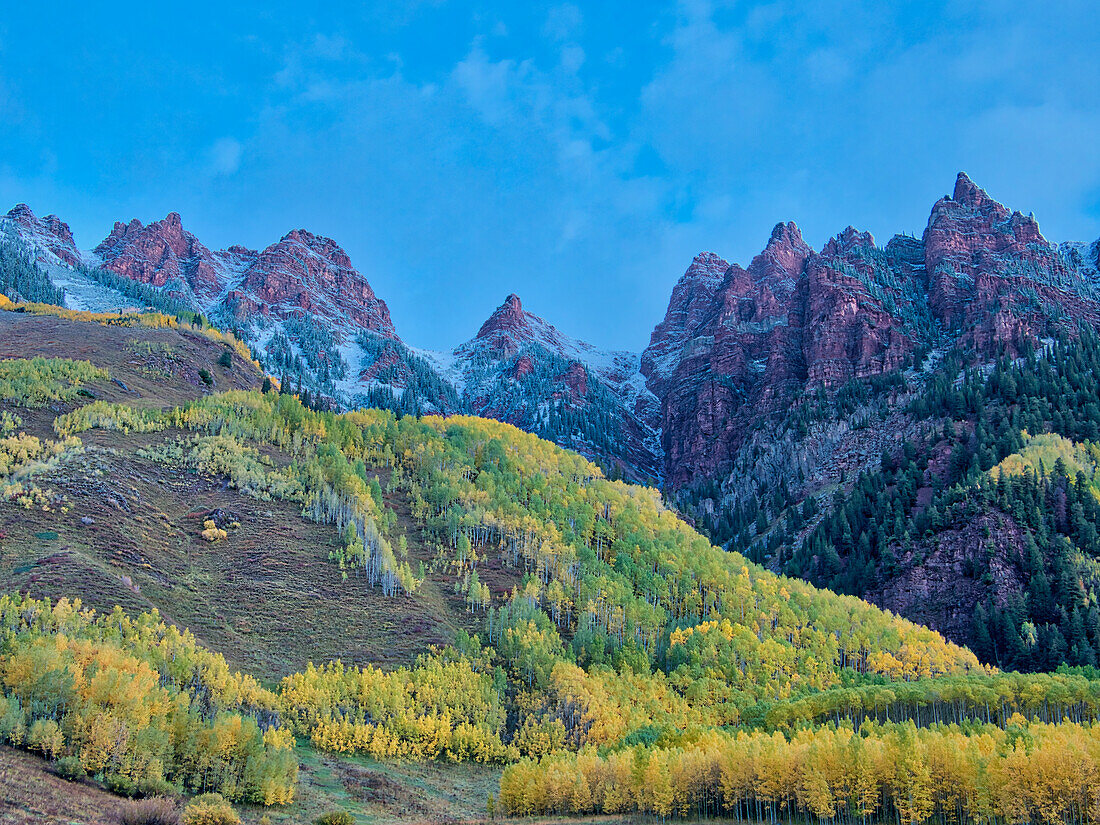 USA, Colorado, Aspen. Maroon Bells, snow-covered Aspens and firs