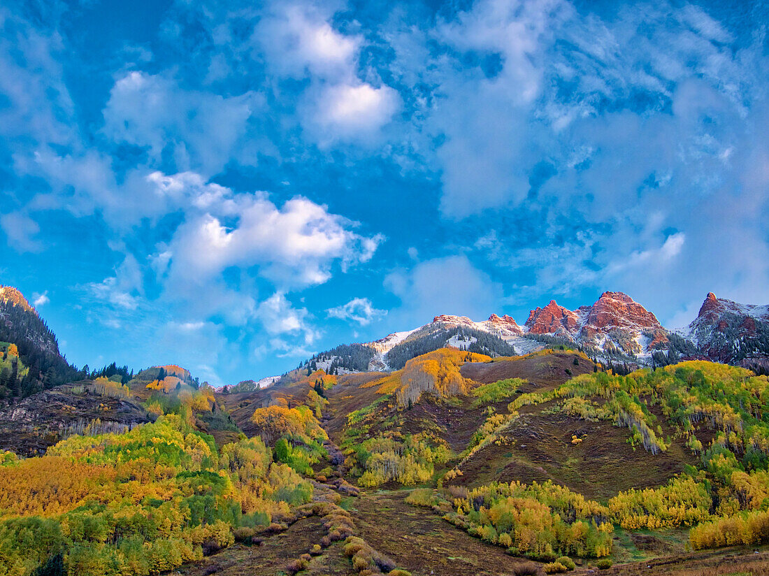 USA, Colorado, Aspen. Maroon Bells, snow-covered Aspens and firs