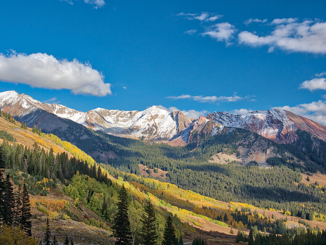 USA, Colorado, Kebler-Pass. Herbstlaub und Aspenbäume auf ihrem Höhepunkt, in der Nähe von Crested Butte