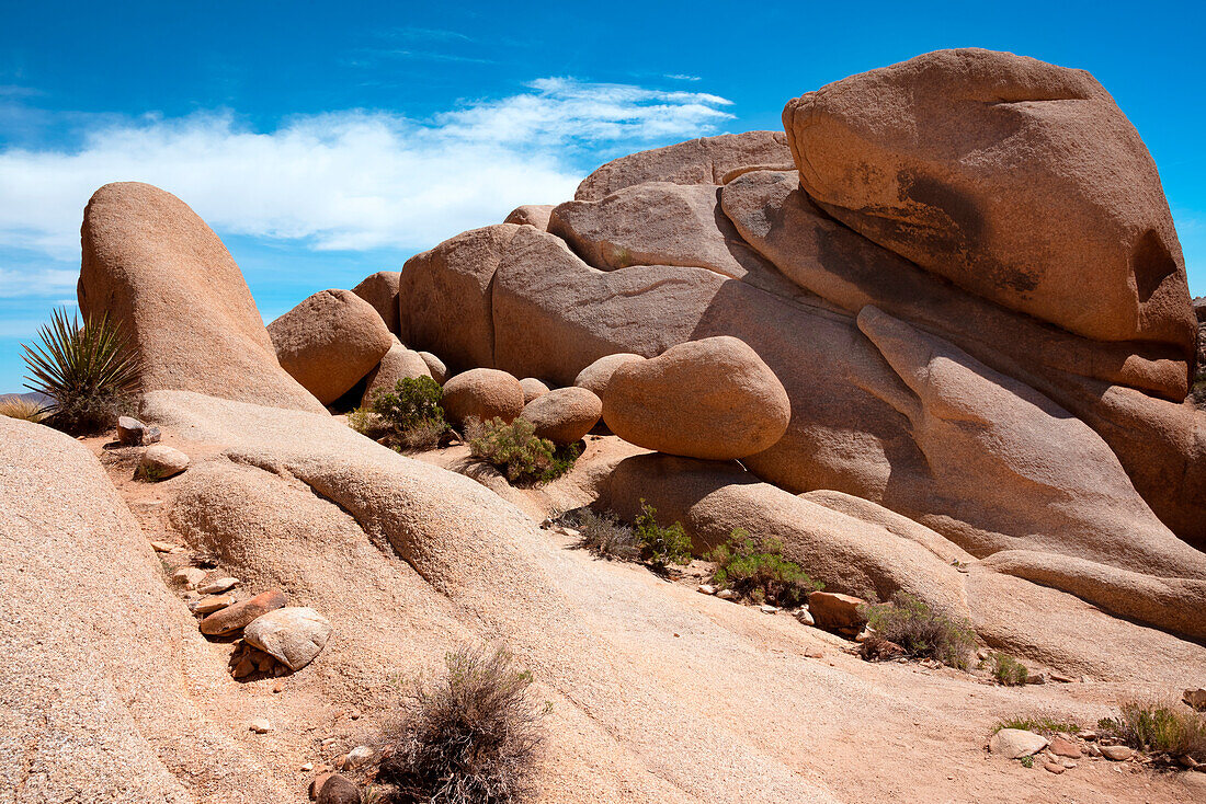 USA, California. Joshua Tree National Park