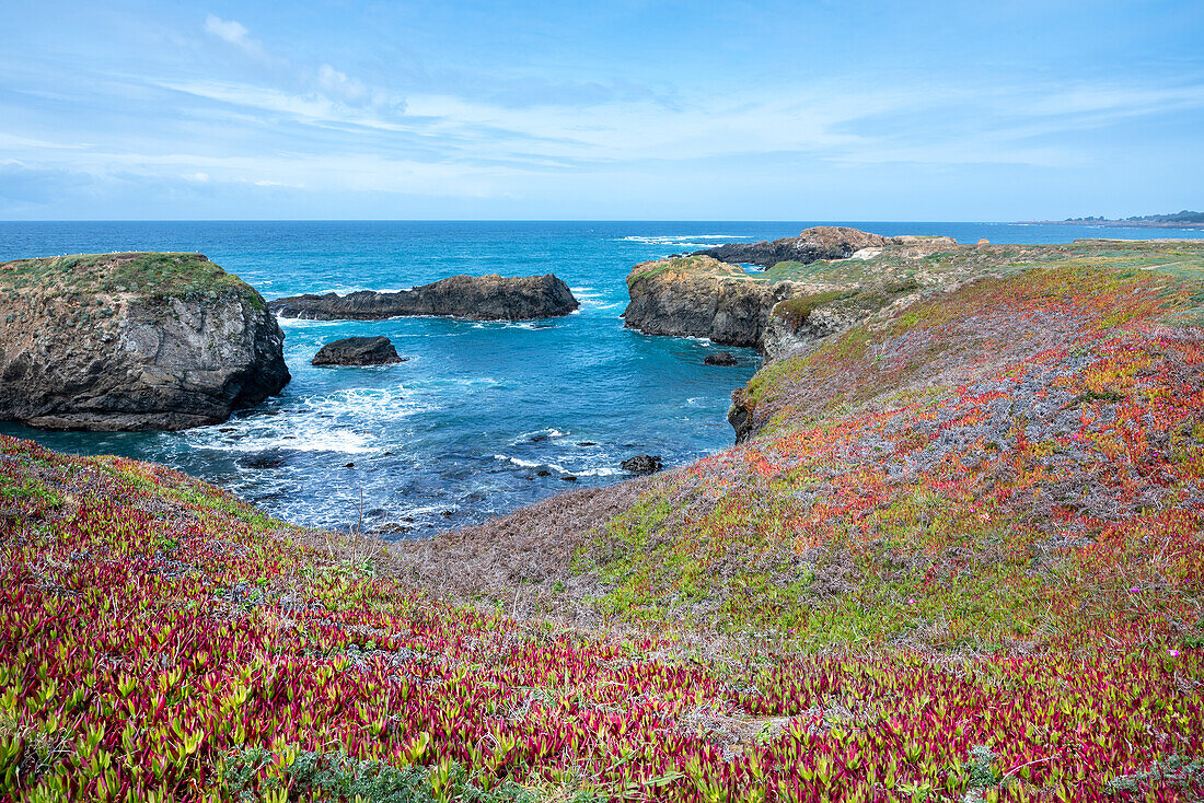 USA, California. Pacific Ocean, cliffs edge in Mendocino Headlands State Park.