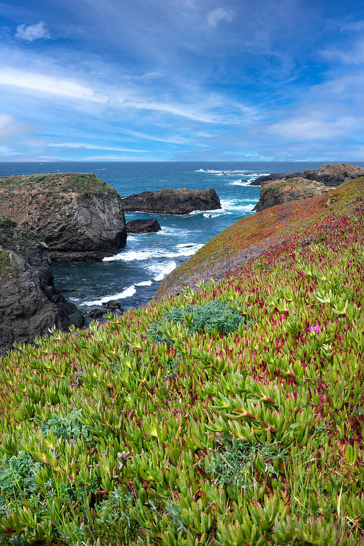 USA, California. Pacific Ocean, Mendocino Headlands State Park.