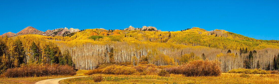 USA, Colorado, Gunnison National Forest. Panoramablick auf einen Berg und einen Espenwald im Herbst.