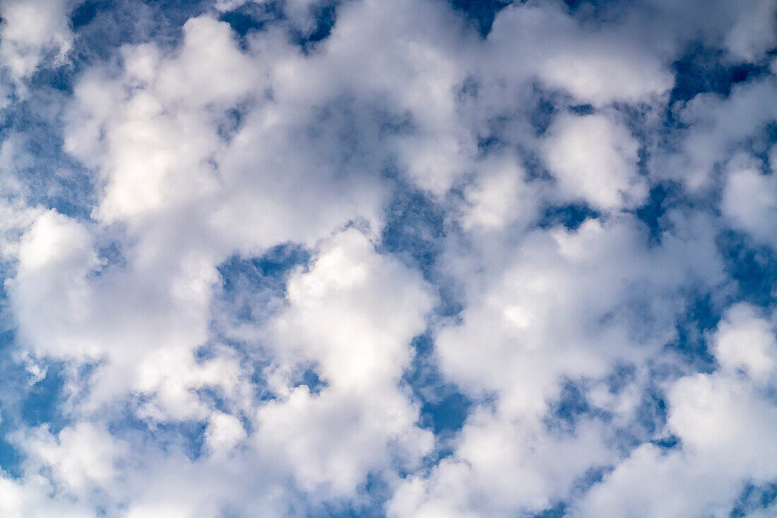 USA, Louisiana, Atchafalaya Basin, Atchafalaya Swamp. Cloud patterns.