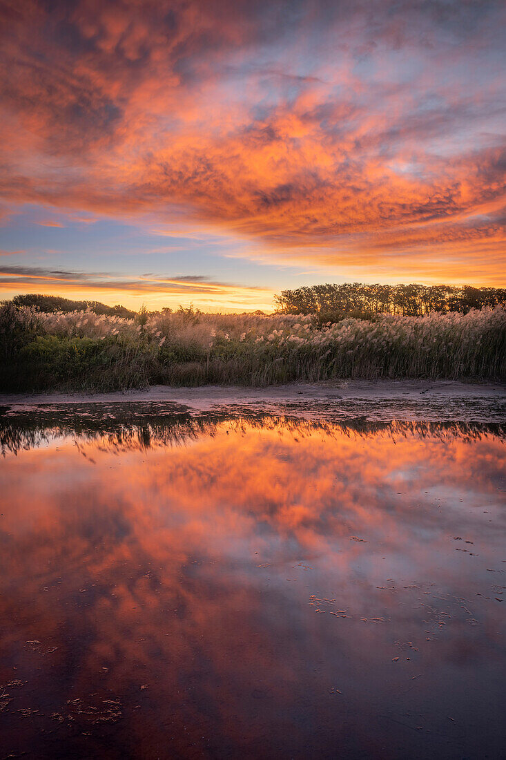 USA, New Jersey, Cape May National Seashore. Sonnenaufgang im Sumpfgebiet.