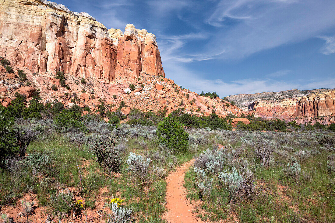 USA, New Mexico. Path in Carson National Forest, near Ghost Ranch.