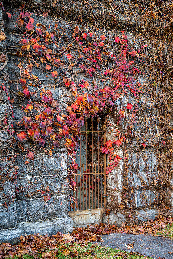 USA, Sleepy Hollow. Sleepy Hollow Cemetery (PR)