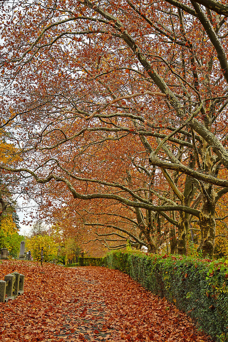 USA, Sleepy Hollow. Sleepy Hollow-Friedhof. (PR)