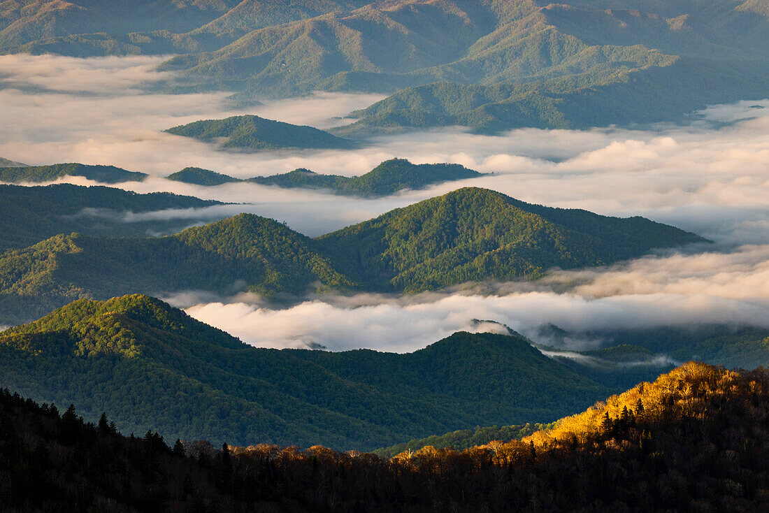 Early morning spring view of mountains and mist, from Clingmans Dome area, Great Smoky Mountains National Park, North Carolina