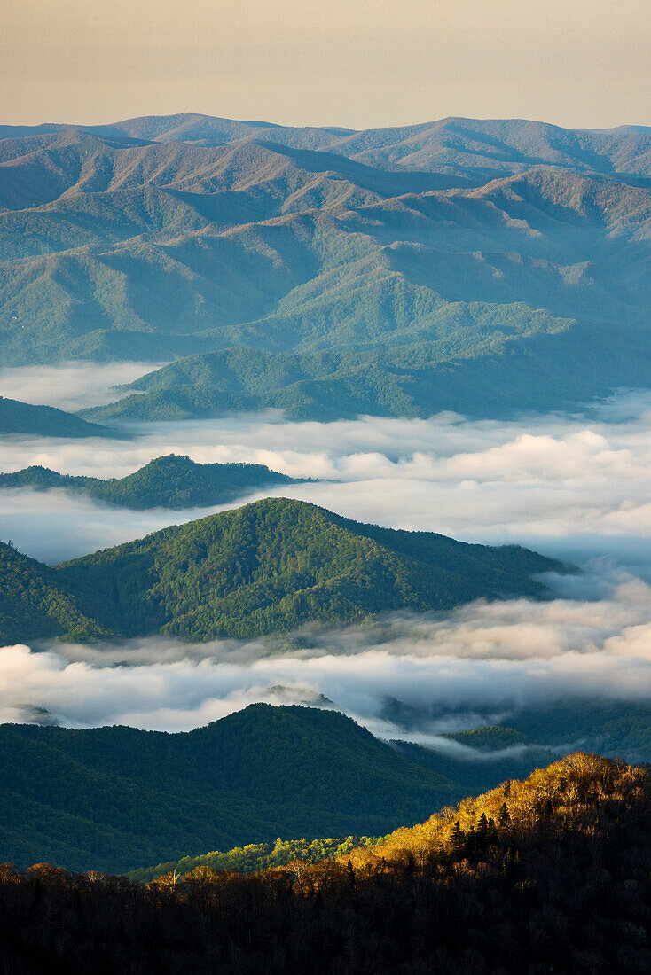 Early morning spring view of mountains and mist, from Clingmans Dome area, Great Smoky Mountains National Park, North Carolina