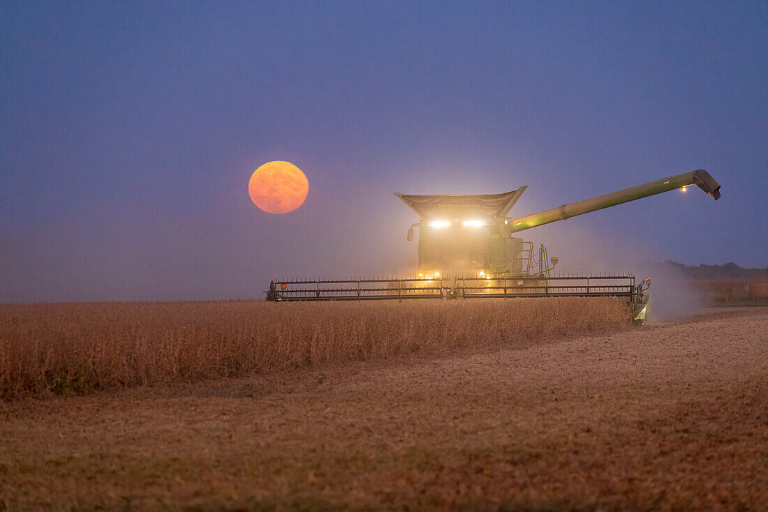 Mähdrescher bei der Sojabohnenernte bei aufgehendem Vollmond (Erntemond), Marion County, Illinois. (Nur für redaktionelle Zwecke)