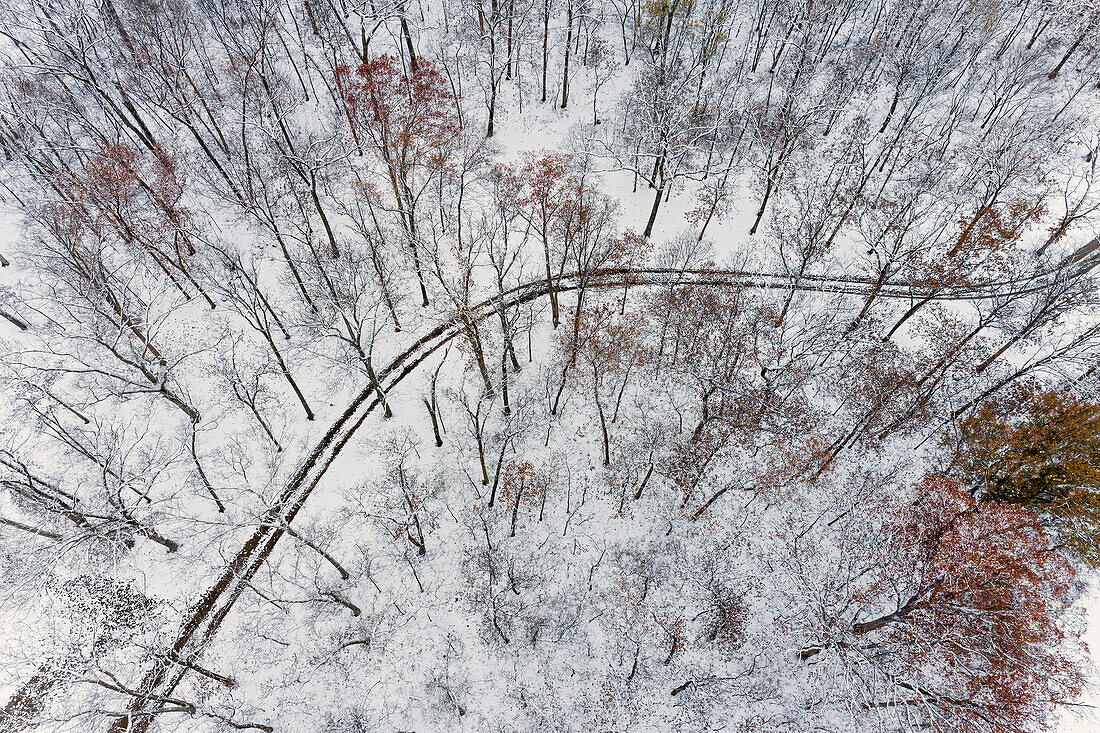 Luftaufnahme eines Waldes und einer Straße nach Schneefall, Marion County, Illinois. (Nur für redaktionelle Zwecke)