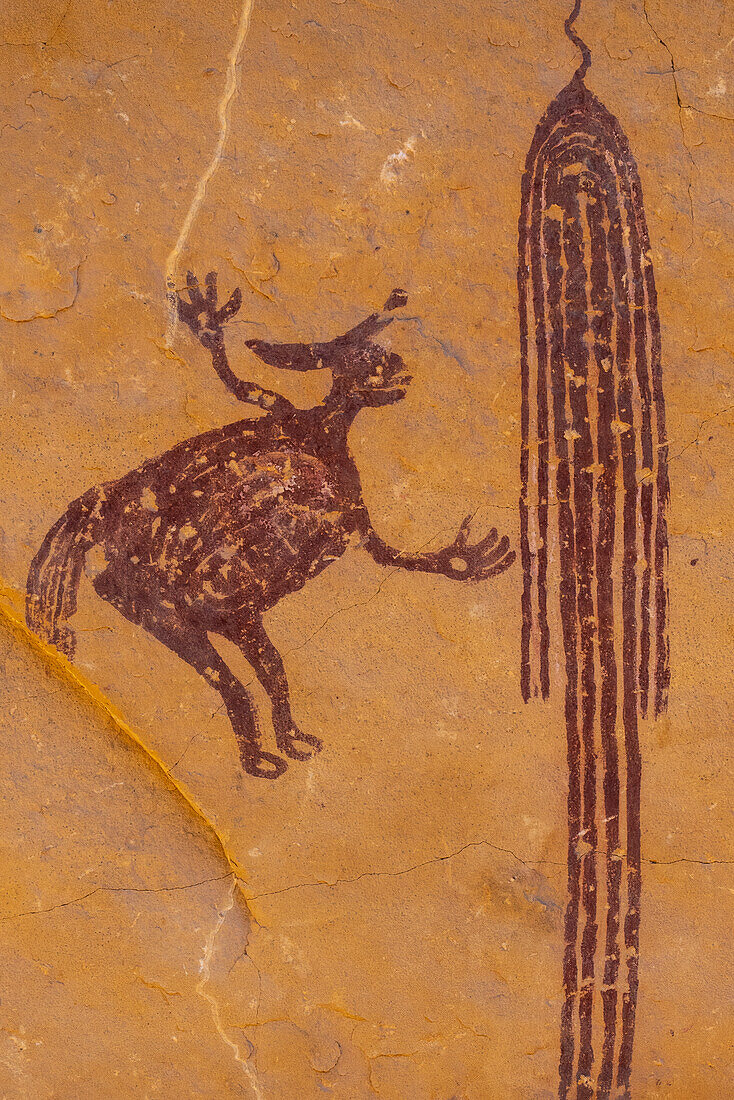 USA, Utah. Head of Sinbad Panel pictographs in San Rafael Swell Recreation Area.