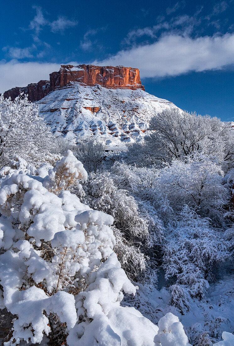 USA, Utah. Winter snowfall in Castle Valley.