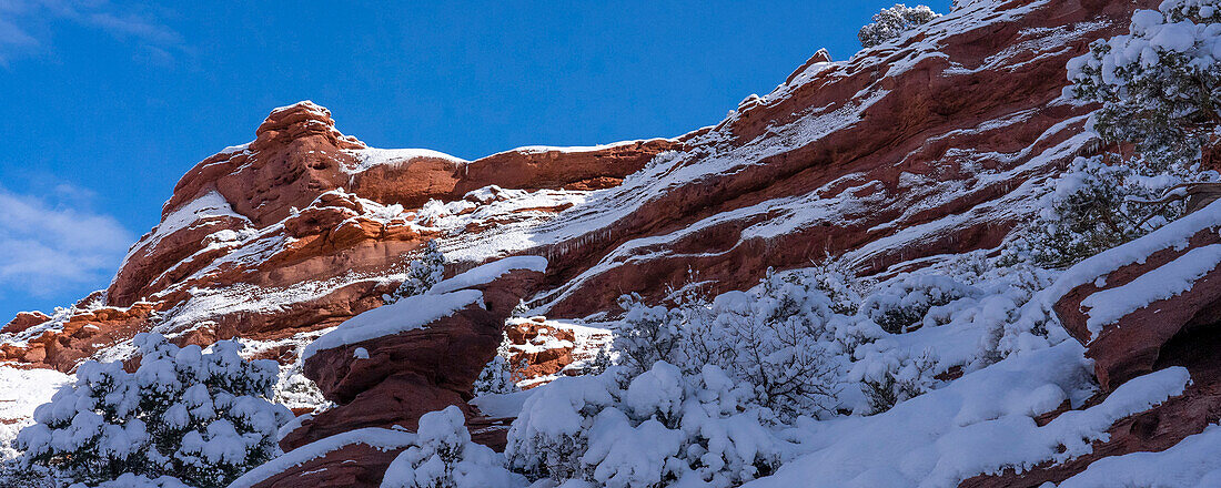 USA, Utah. Winter snowfall in Castle Valley.